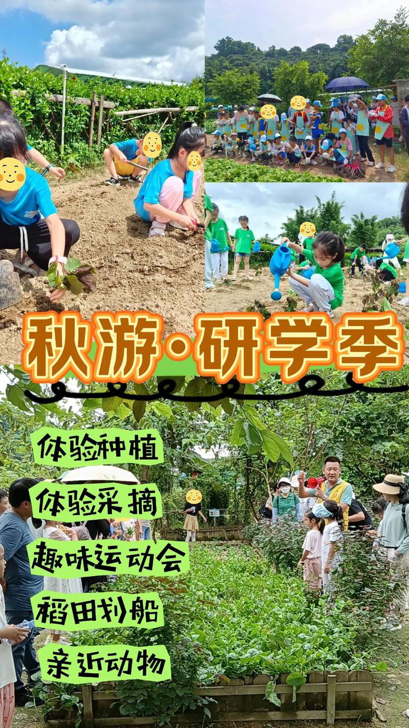公安县崇湖国家湿地公园游玩重点整理