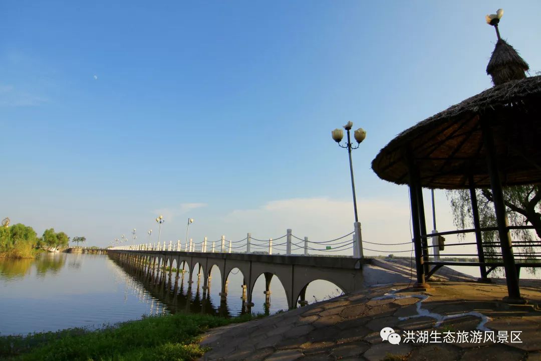 带亲子或长辈逛洪湖蓝田湿地与瞿家湾时段选择参考