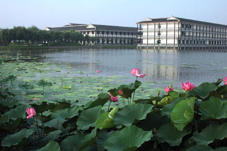 松滋稻谷溪生态湿地分模块规划停留时长逛得更从容