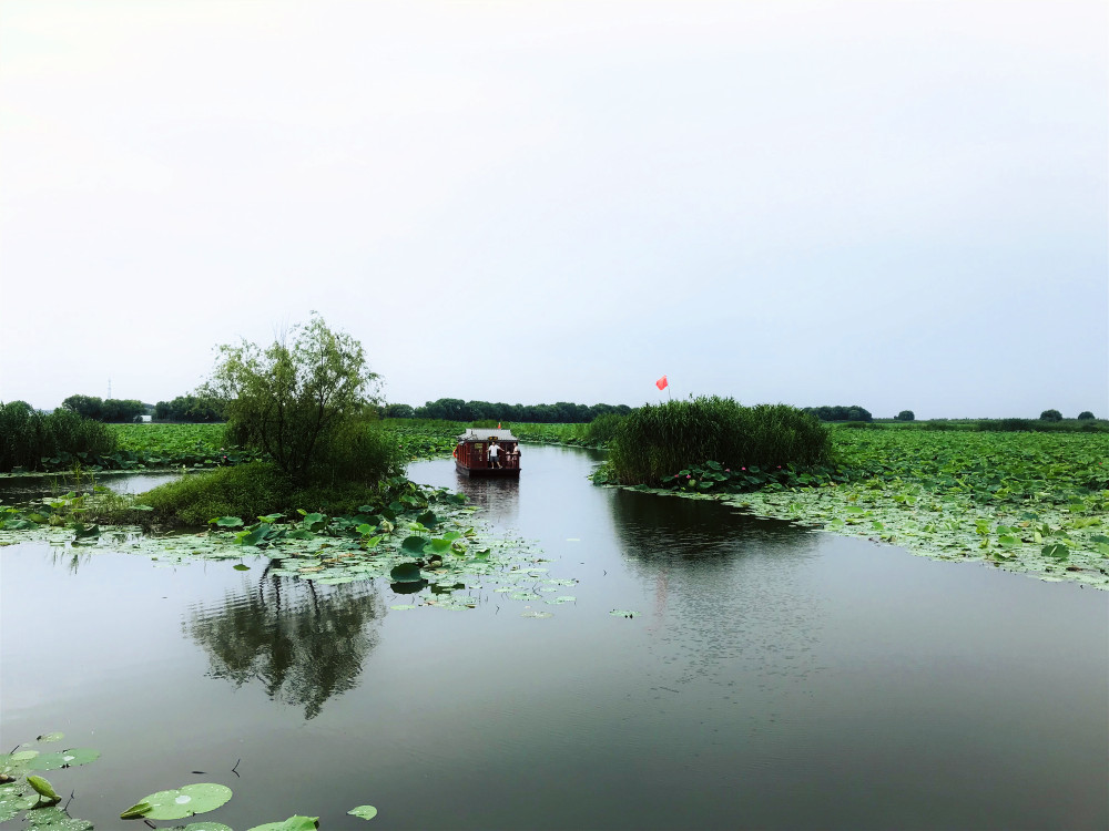 洪湖生态旅游区顺向逛完核心景观的动线安排