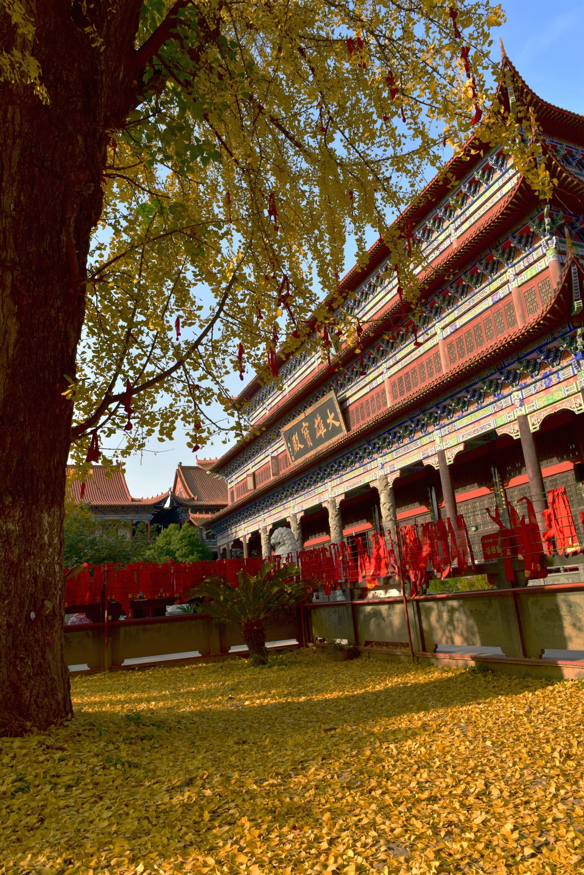 章华寺慢逛后可安排沙市城区同片区休闲衔接行程