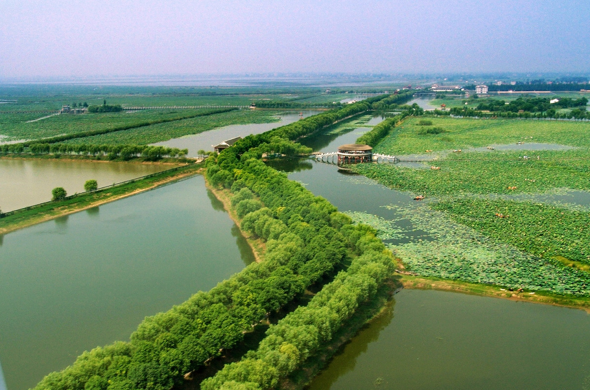 盛夏去洪湖逛蓝田湿地和瞿家湾提前做好这些安排更顺畅