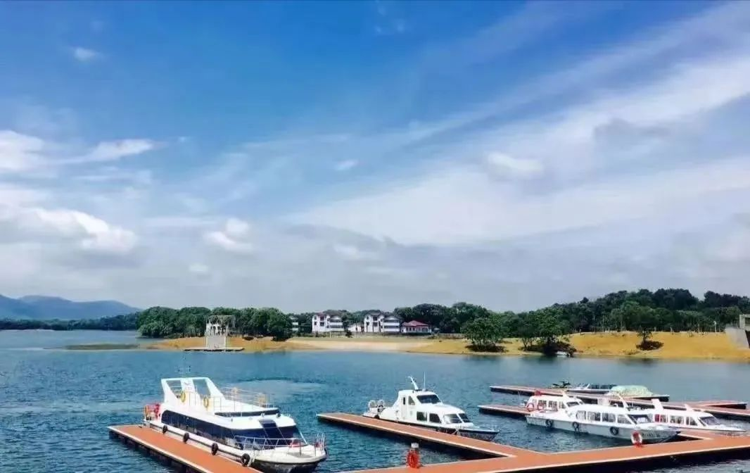 洈水湖区短时间慢游可优先保留临湖观岛与生态展陈点位