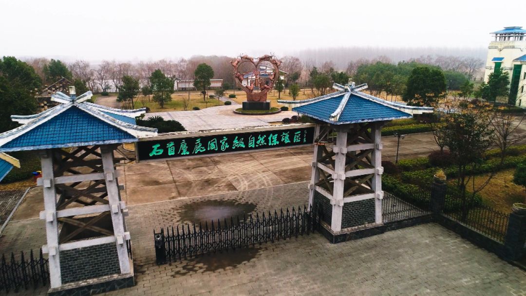 石首天鹅洲逛完麋鹿主景后可以安排这段松弛休憩行程