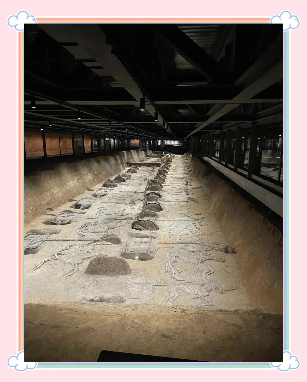 楚王车马阵研学留意这些细节 无需赶点也能吃透核心体验