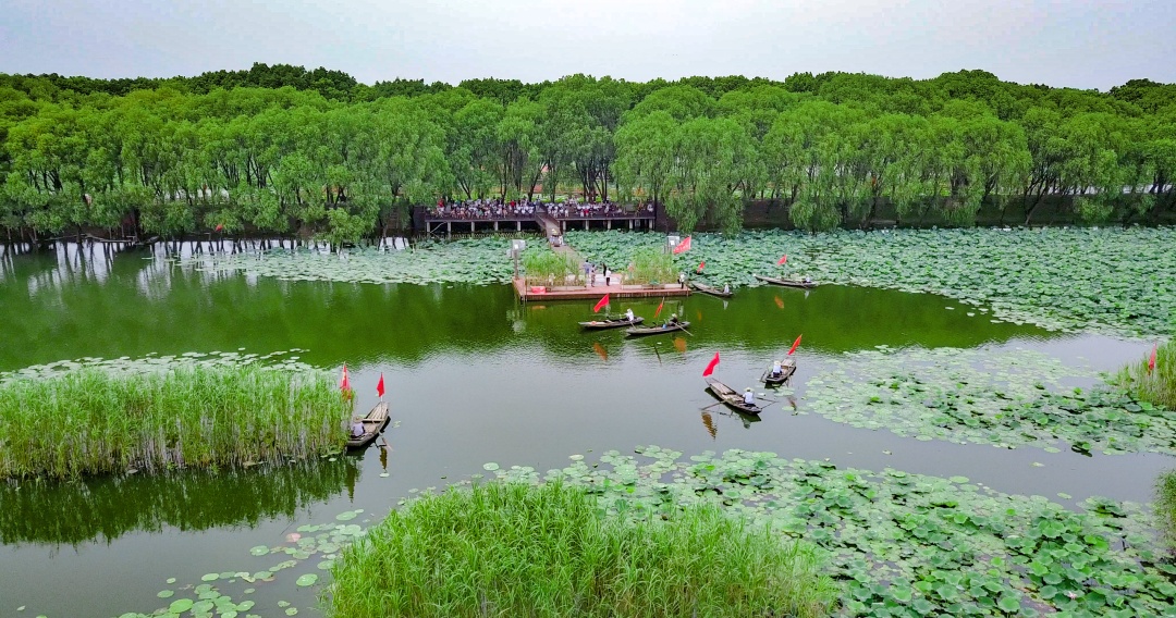 自驾到访洪湖湿地生态旅游区停车步行衔接的顺畅游览安排